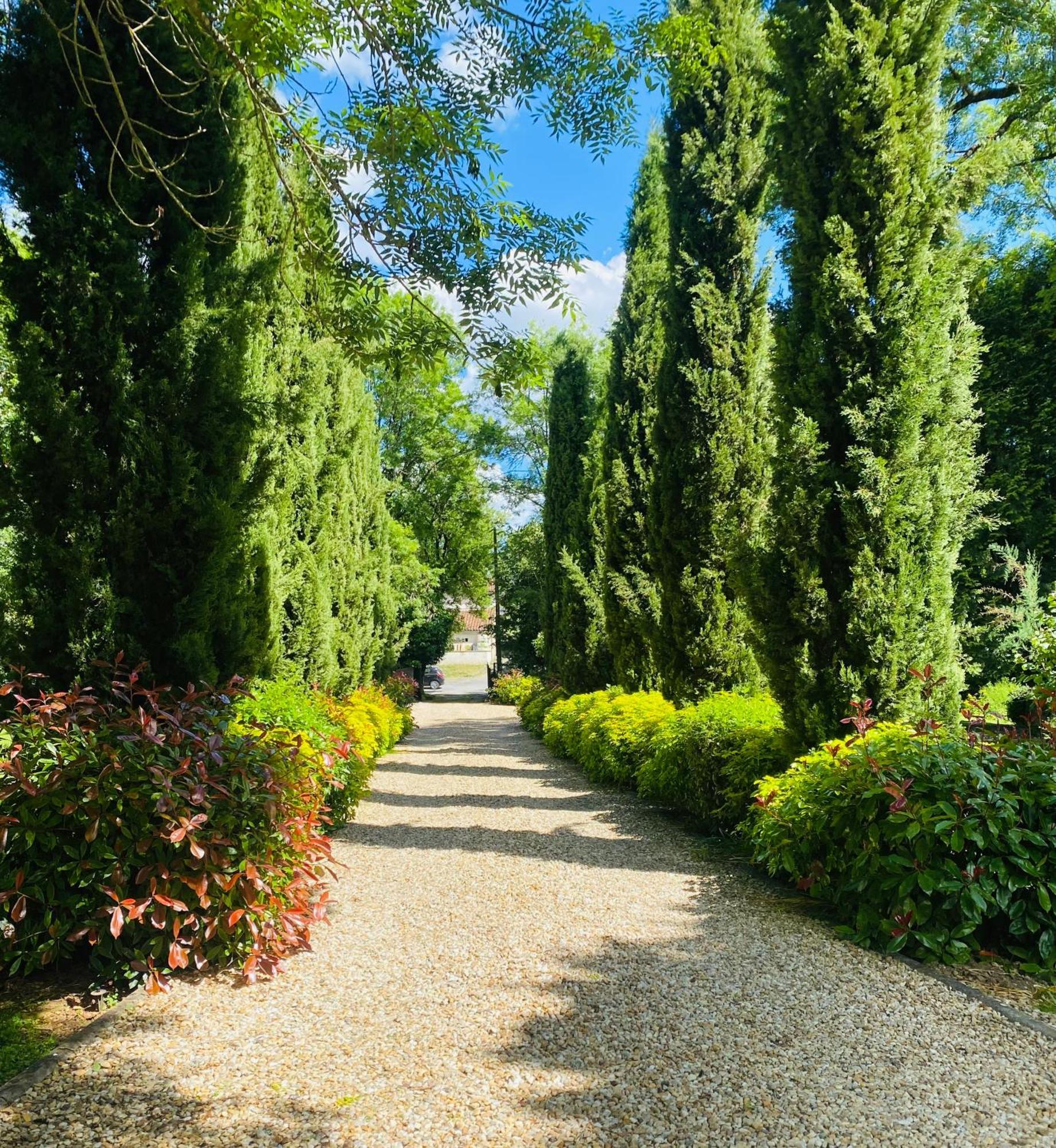 Bed and Breakfast Moulin Du Fontcourt Chasseneuil-sur-Bonnieure Exterior foto