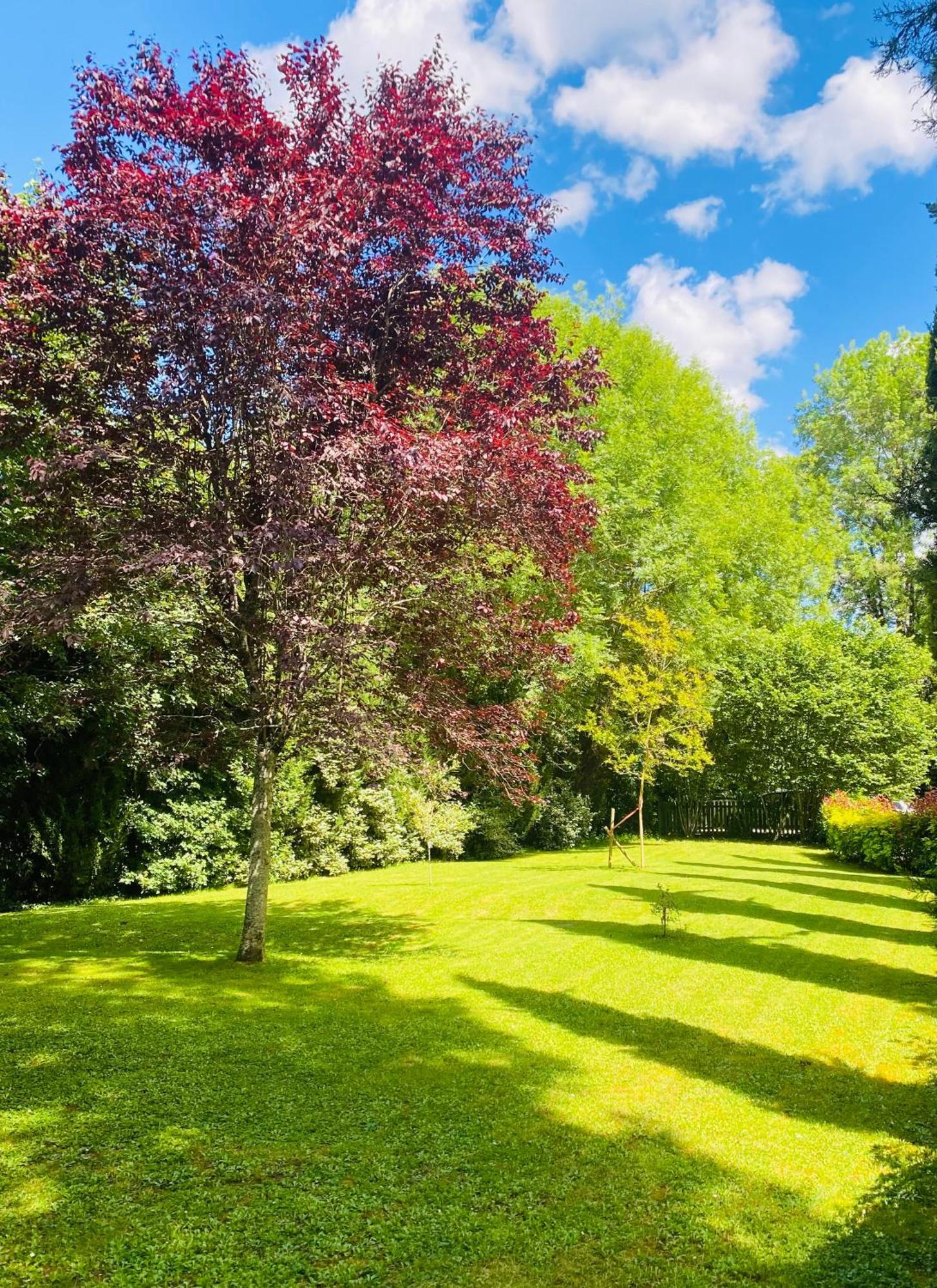 Bed and Breakfast Moulin Du Fontcourt Chasseneuil-sur-Bonnieure Exterior foto